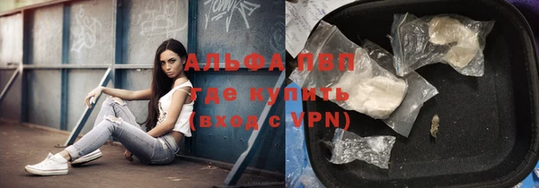 ГАЛЛЮЦИНОГЕННЫЕ ГРИБЫ Козельск
