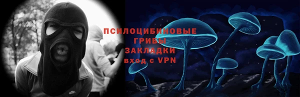 2c-b Козловка
