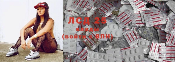 ГАЛЛЮЦИНОГЕННЫЕ ГРИБЫ Козельск