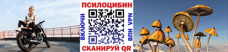 Купить  Ейск  Галлюциногенные грибы Cubensis 